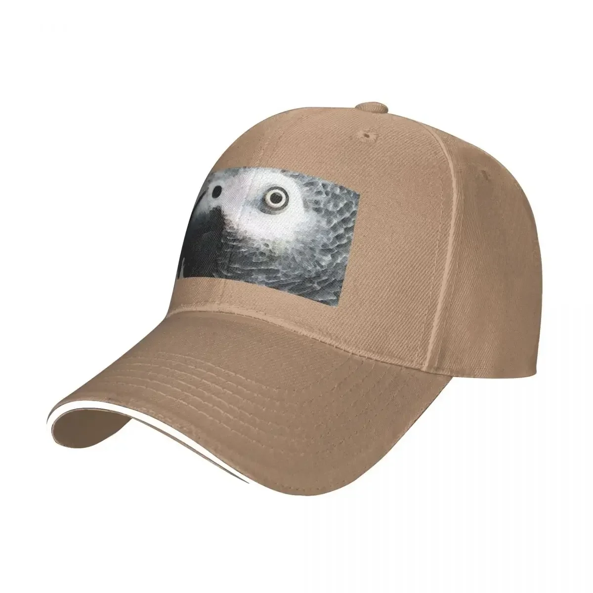 2026 New African Gray Parrot A - огляд і ціна Men'S Fashion Outlets