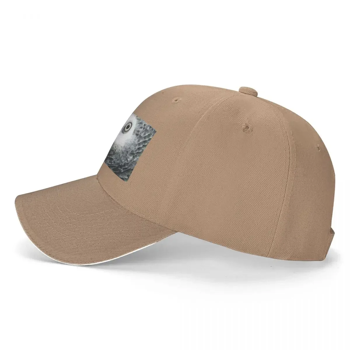 2026 New African Gray Parrot A - огляд і ціна Men'S Fashion Outlets